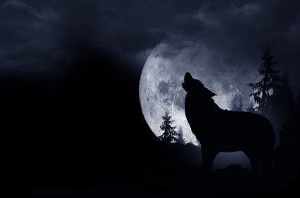 howling wolf