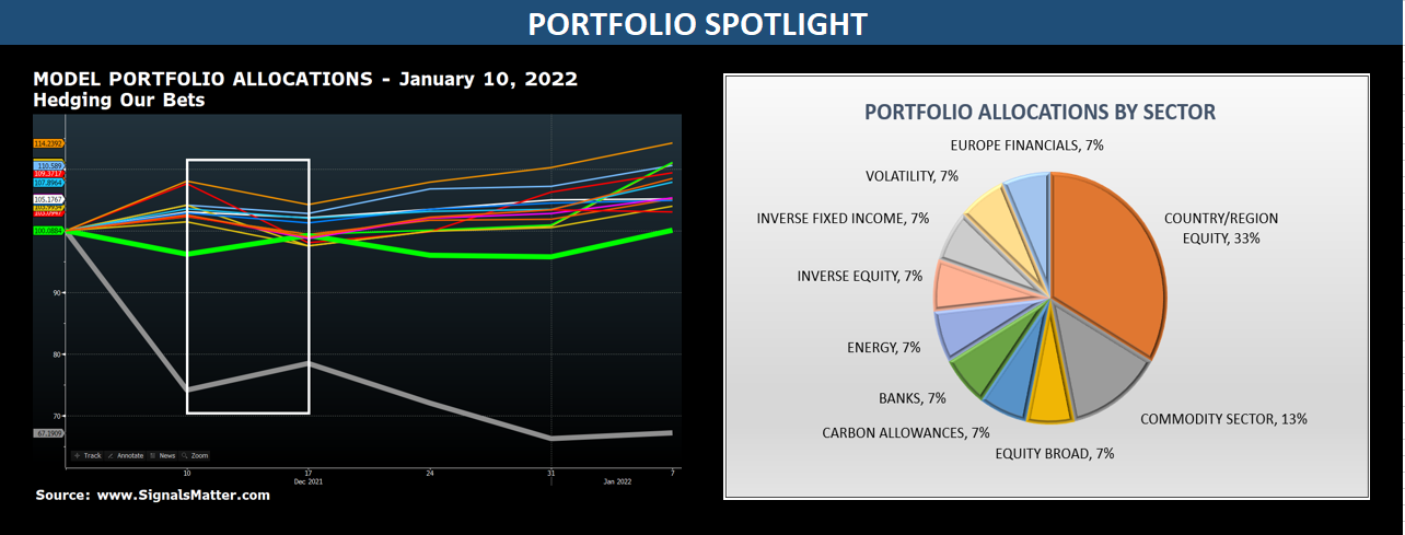 successful portfolios